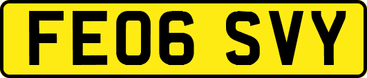 FE06SVY