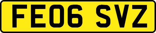FE06SVZ