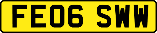 FE06SWW