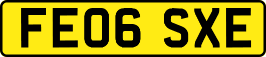 FE06SXE
