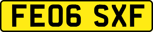 FE06SXF