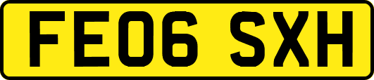 FE06SXH