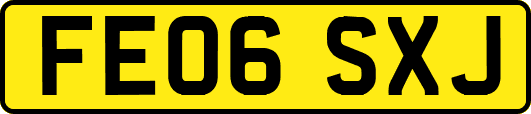 FE06SXJ