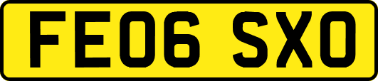 FE06SXO