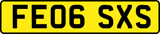FE06SXS