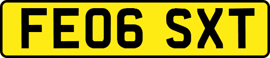 FE06SXT