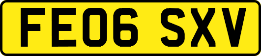 FE06SXV