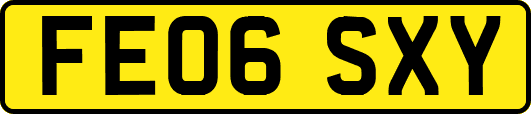 FE06SXY