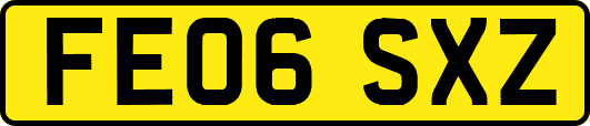 FE06SXZ