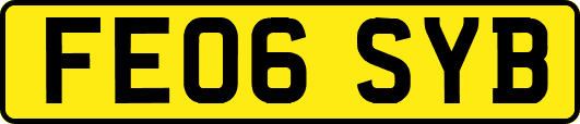FE06SYB