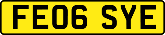 FE06SYE