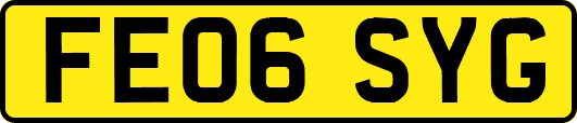 FE06SYG