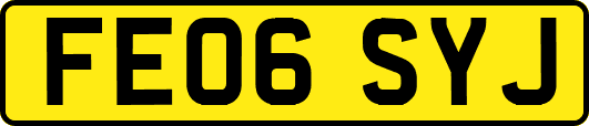 FE06SYJ
