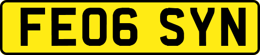FE06SYN