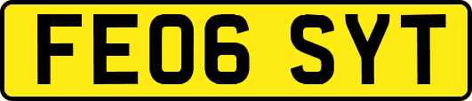 FE06SYT