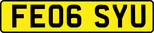 FE06SYU