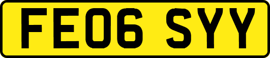 FE06SYY