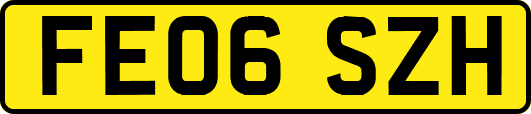 FE06SZH