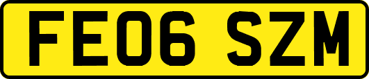 FE06SZM