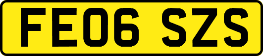 FE06SZS