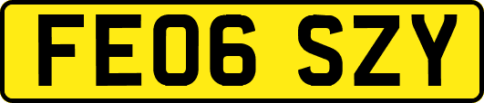 FE06SZY