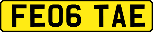 FE06TAE