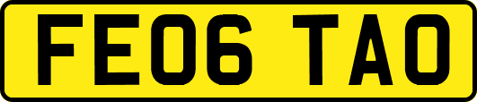 FE06TAO