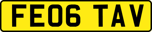 FE06TAV