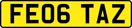 FE06TAZ