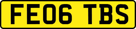 FE06TBS