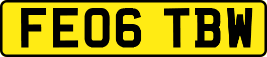FE06TBW