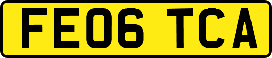 FE06TCA