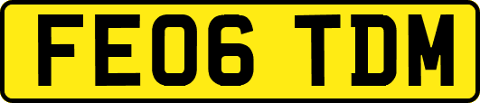 FE06TDM