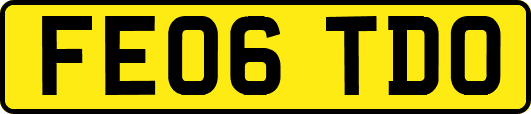 FE06TDO