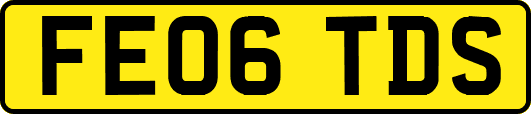 FE06TDS