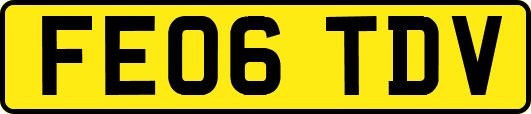 FE06TDV