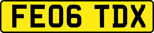 FE06TDX