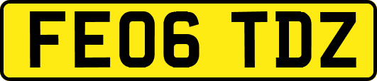 FE06TDZ