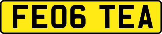 FE06TEA