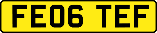 FE06TEF