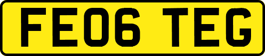 FE06TEG
