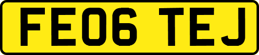 FE06TEJ