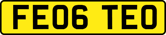 FE06TEO