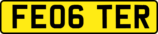 FE06TER