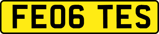 FE06TES