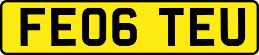 FE06TEU