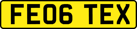 FE06TEX