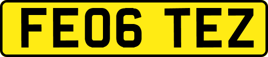 FE06TEZ