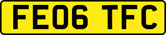 FE06TFC