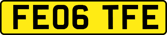 FE06TFE